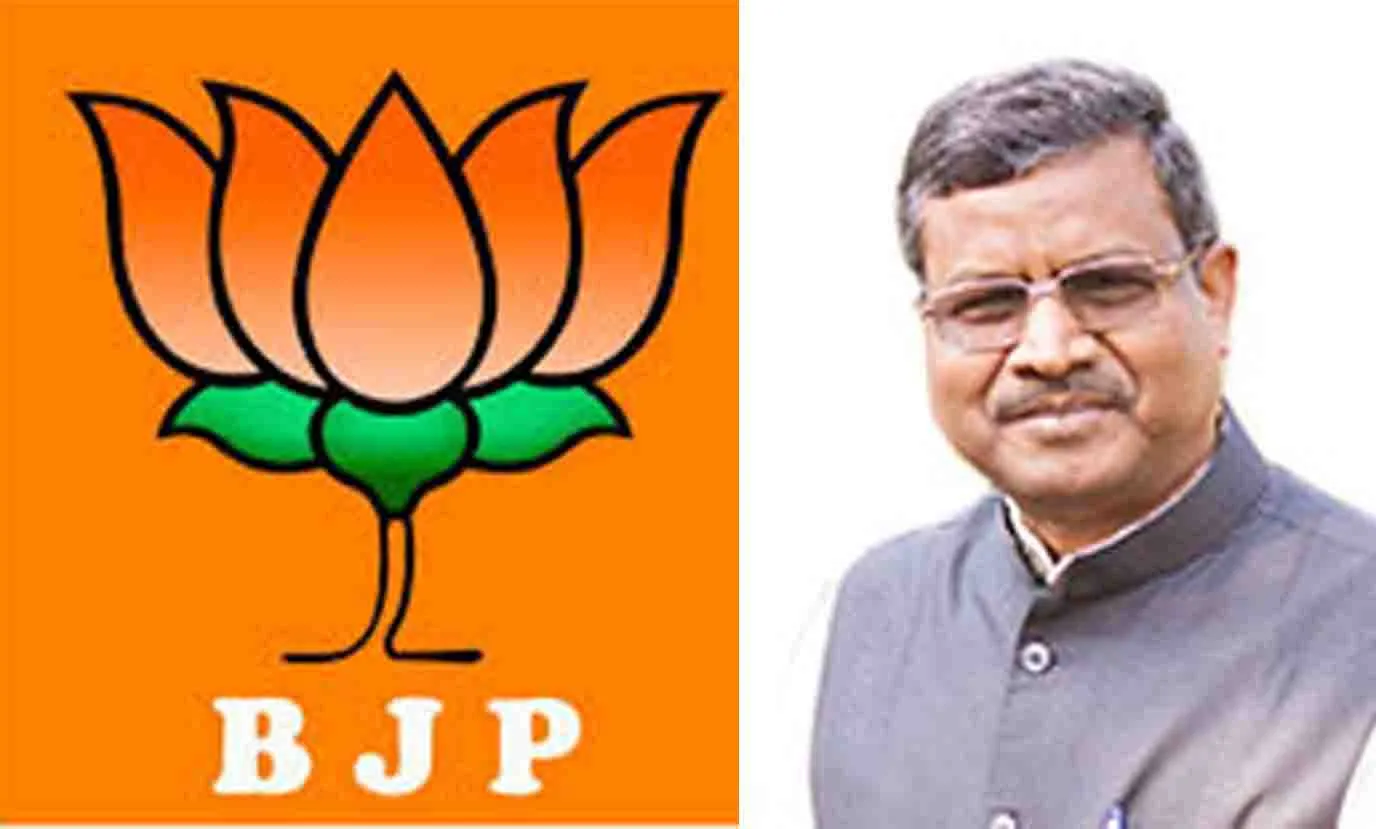 क्या बीजेपी के पास आदिवासी चेहरे की कमी है?