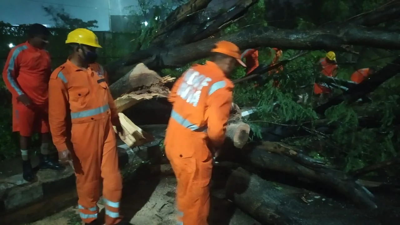 रांची के अखबार : चक्रवात से 14 की मौत, झारखंड में एक दिन में मिले 42 कोरोना संक्रमित, अन्य खबरें