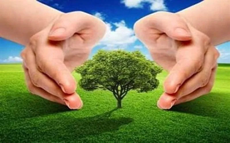 आज के कोविड रिकवरी विकल्‍प कल का पर्यावरण निर्धारित कर सकते हैं