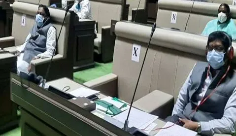 सरना आदिवासी धर्मकोड का प्रस्ताव संशोधन कर ध्वनिमत से पारित