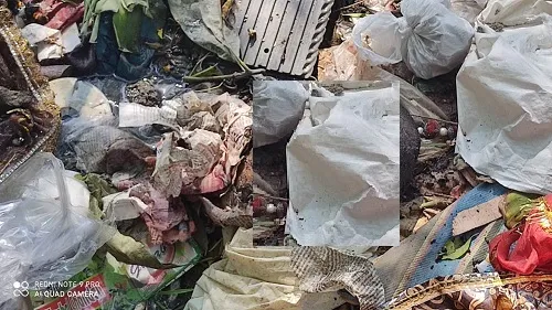 डीबडीह पुल के पास मिला कटा हुआ सिर, इलाके में फैला दहशत