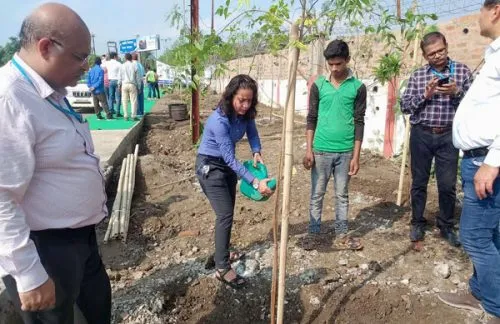 क्लीन एयर प्रोग्राम के तहत किया गया पौधरोपण प्रभावी कार्ययोजना के बिना बेकार : सर्वे