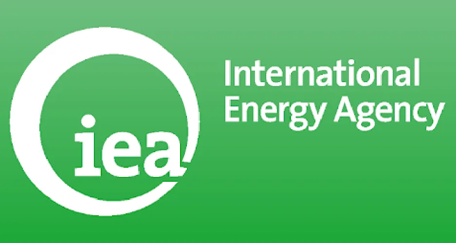 क्या अंतरराष्ट्रीय ऊर्जा एजेंसी वर्ल्ड एनर्जी आउटलुक में नेट ज़ीरो मार्ग को रेखांकित करेगी?