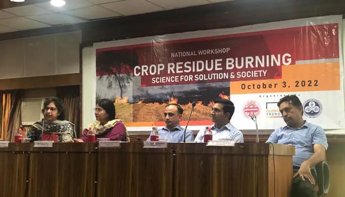 पराली जलाने की समस्या के समाधान में लगेंगे 4-5 साल, क्या हो सकता है संभावित समाधान?