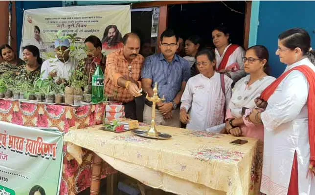 राजमहल की पहाड़ियों पर औषधीय पौधों की भरमार : डीएफओ