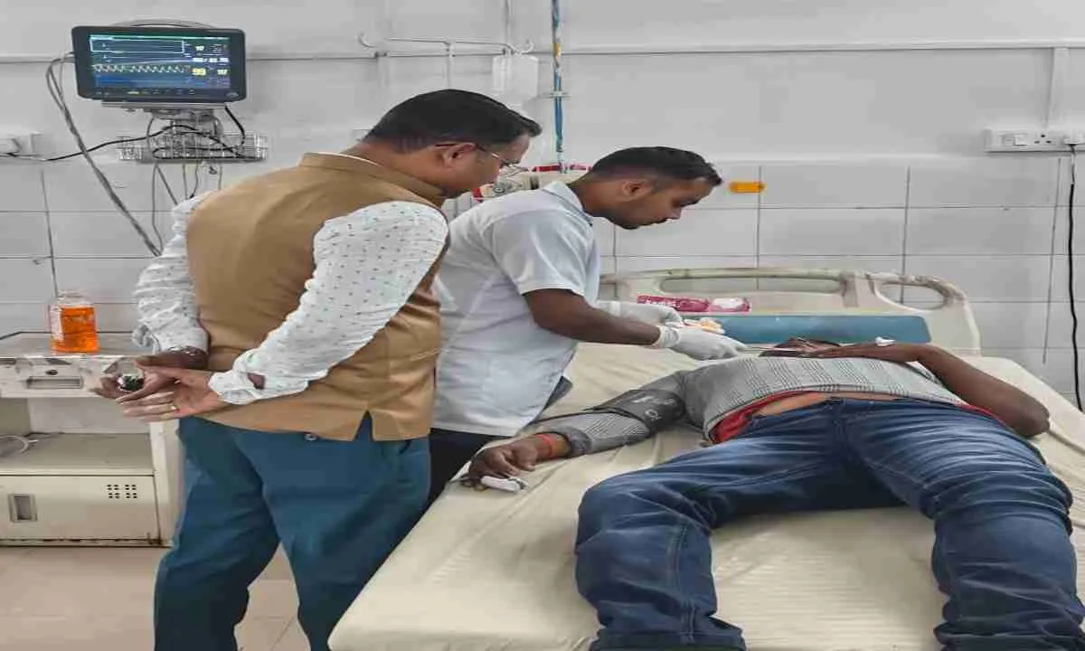 HAZARIBAGH NEWS: मधुमक्खी के दंश से स्कूटी सवार पति- पत्नी बुरी तरह हुए घायल,