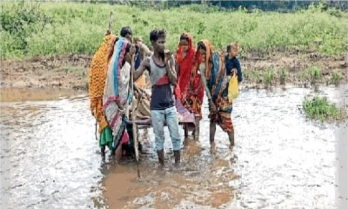 गर्भवती महिला को खाट पर लिटाकर ला रहे थे लोग, जंगल के पगडंडी में हुआ प्रसव  