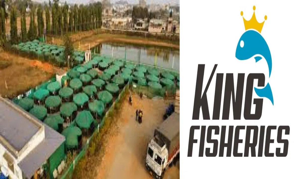 Good News: किंग फिशरीज फार्म के संचालक निशांत को मछली उत्पादन ने बनाया राजा