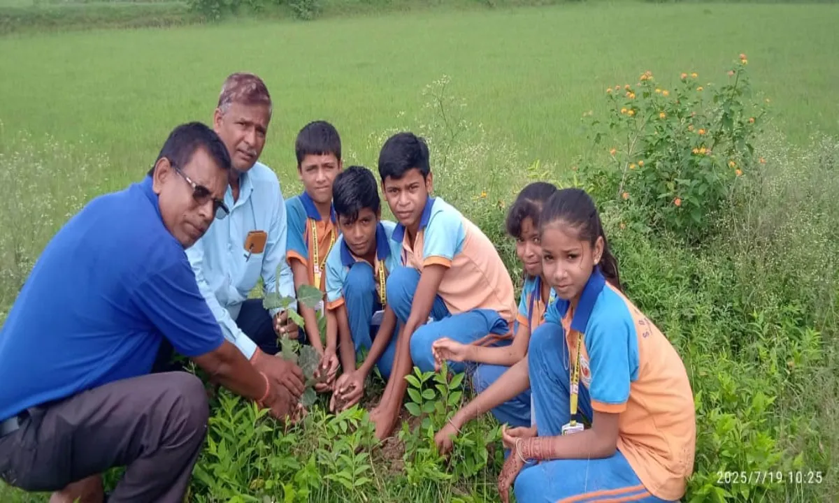 Koderma News: एसडी आवासीय विद्यालय में सामाजिक एवं सांस्कृतिक गतिविधियों का आयोजन, परिसर में लगाये गए पेड़-पौधे