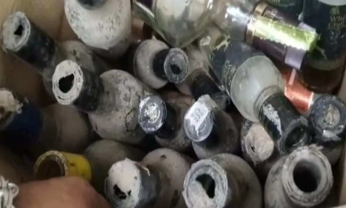 अजीबोगरीब मामला: ढक्कन कुतर चूहे पी गए 802 बोतल शराब