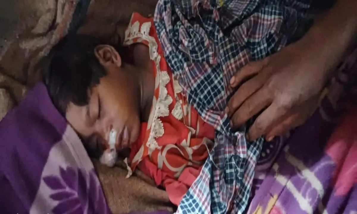 Koderma News: सर्पदंश से नाबालिग बच्ची की मौत