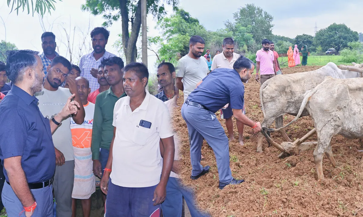 Giridih news: खेतों में डीसी साहब! पहाड़पुर में किसानों से सीधे संवाद, बीज और बोरिंग की व्यवस्था पर दिए निर्देश 