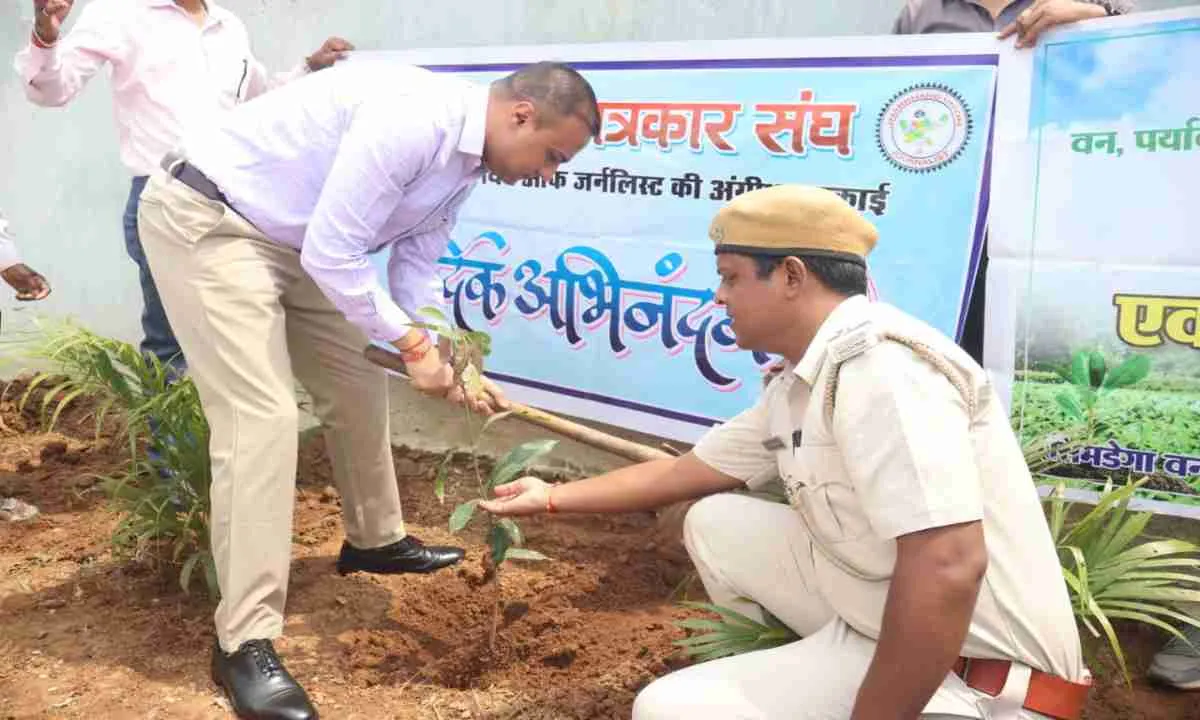Simdega News: पत्रकार संघ के तत्वाधान में इंटरनेशनल हॉकी स्टेडियम सहित पूरे जिले में हुआ वृक्षारोपण