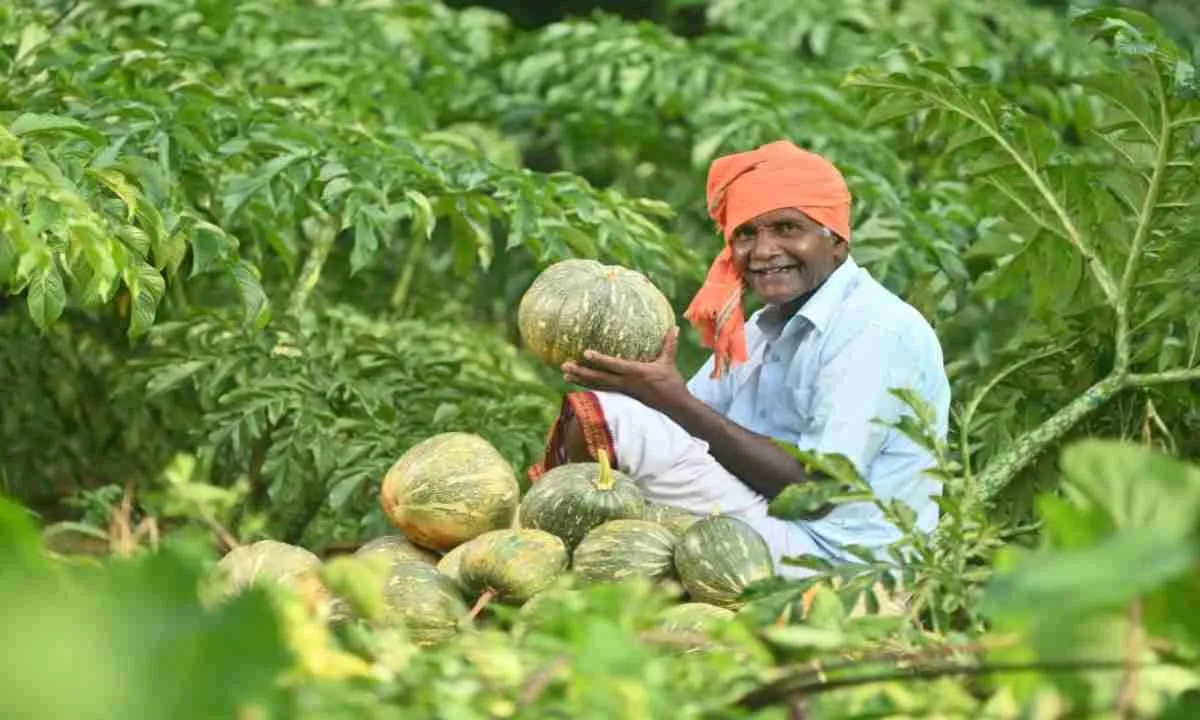 Good News: झारखंड में बागवानी से 400 परिवारों की आजीविका को मिला नया आयाम