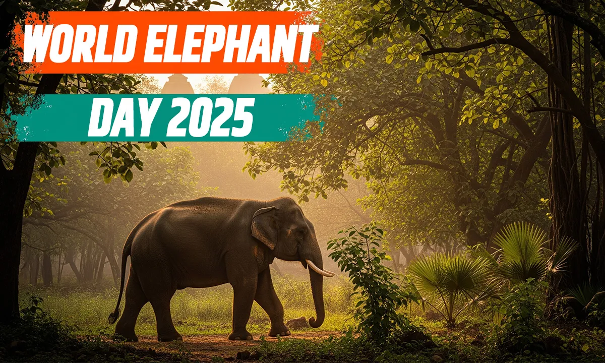 World Elephant Day 2025: भारत में हाथी संरक्षण, सफलता की कहानी और भविष्य की चुनौतियाँ