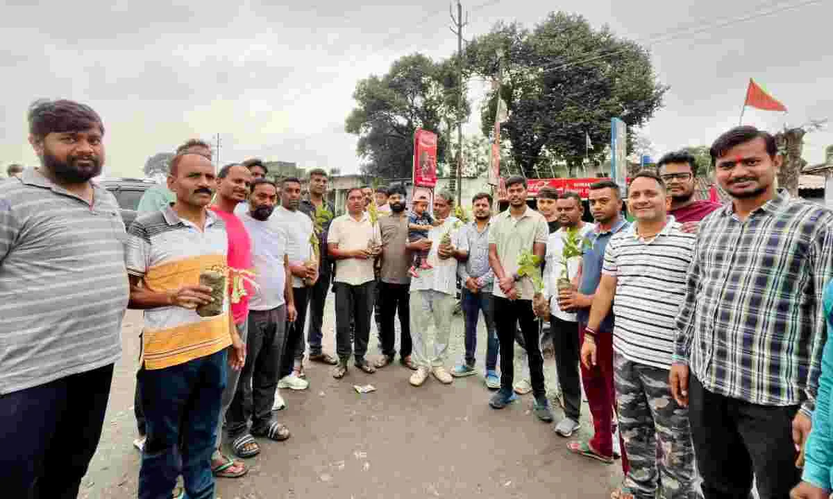Hazaribagh News: डेमोटांड में 3,000 पौधों का वितरण, अब तक कुल 60,000 पौधों का वितरण संपन्न
