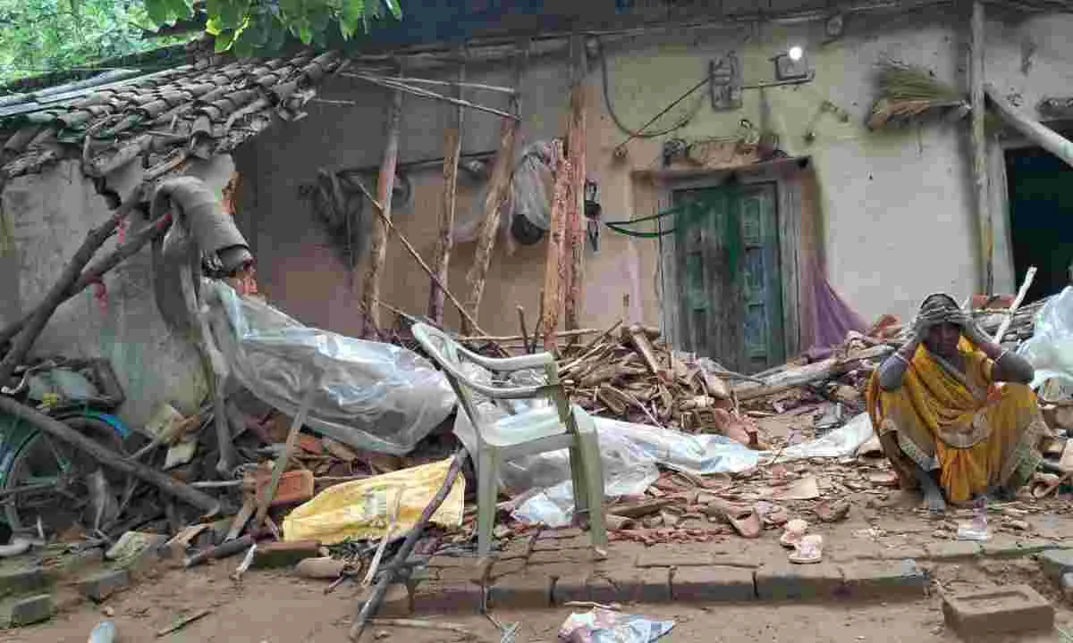 Hazaribagh News: हाथियों ने मचाया तांडव, ग्रामीणों में डर का माहौल 