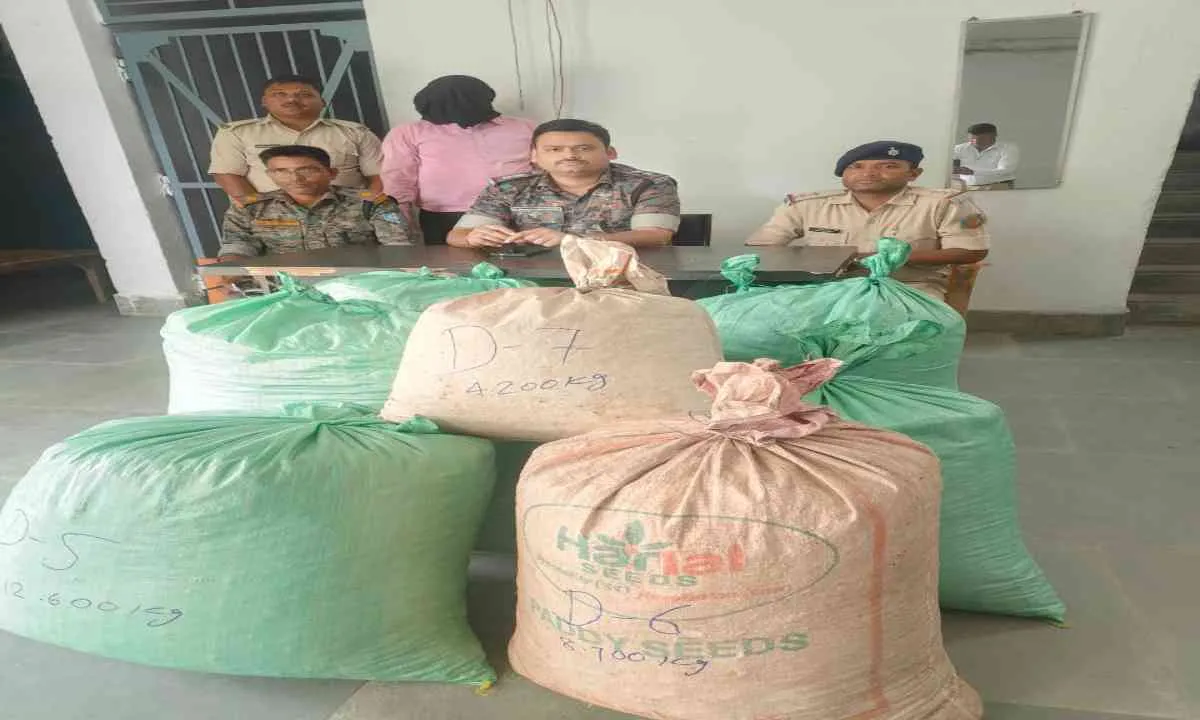 Hazaribagh News: थाना प्रभारी सरोज सिंह चौधरी का बड़ा एक्शन, भारी मात्रा में डोडा के साथ एक तस्कर को किया गिरफ्तार