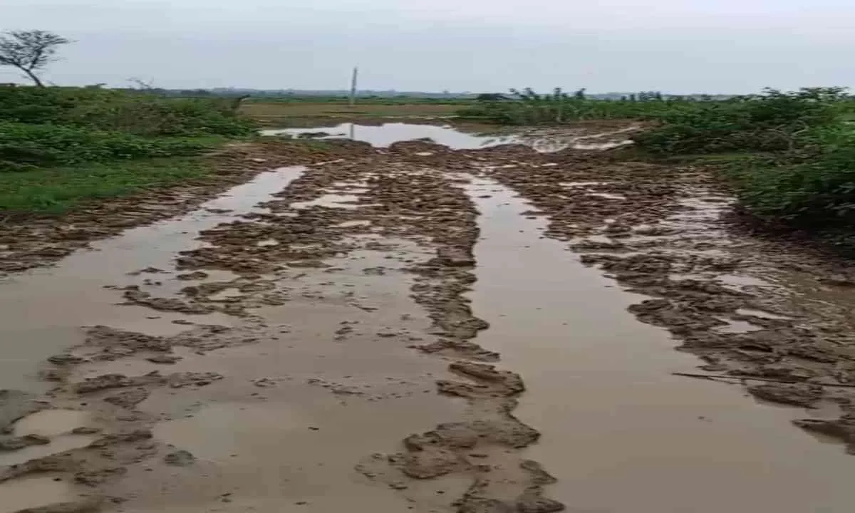 Hazaribagh News: केदली से खेल मैदान तक का मार्ग कीचड़ में तब्दील, ग्रामीण परेशान