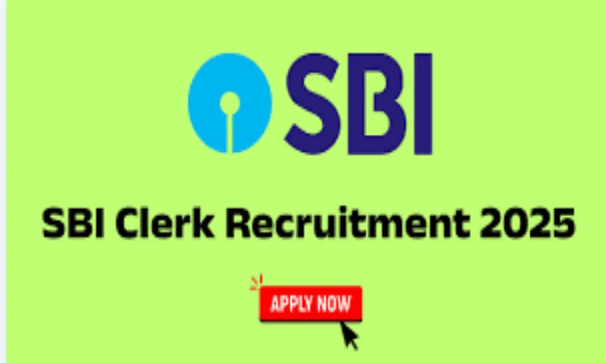 SBI Clerk Recruitment 2025: 6589 पदों के लिए भर्ती शुरू, कौन सी कैटेगरी में कितनी सीटें देखें पूरी लिस्ट 