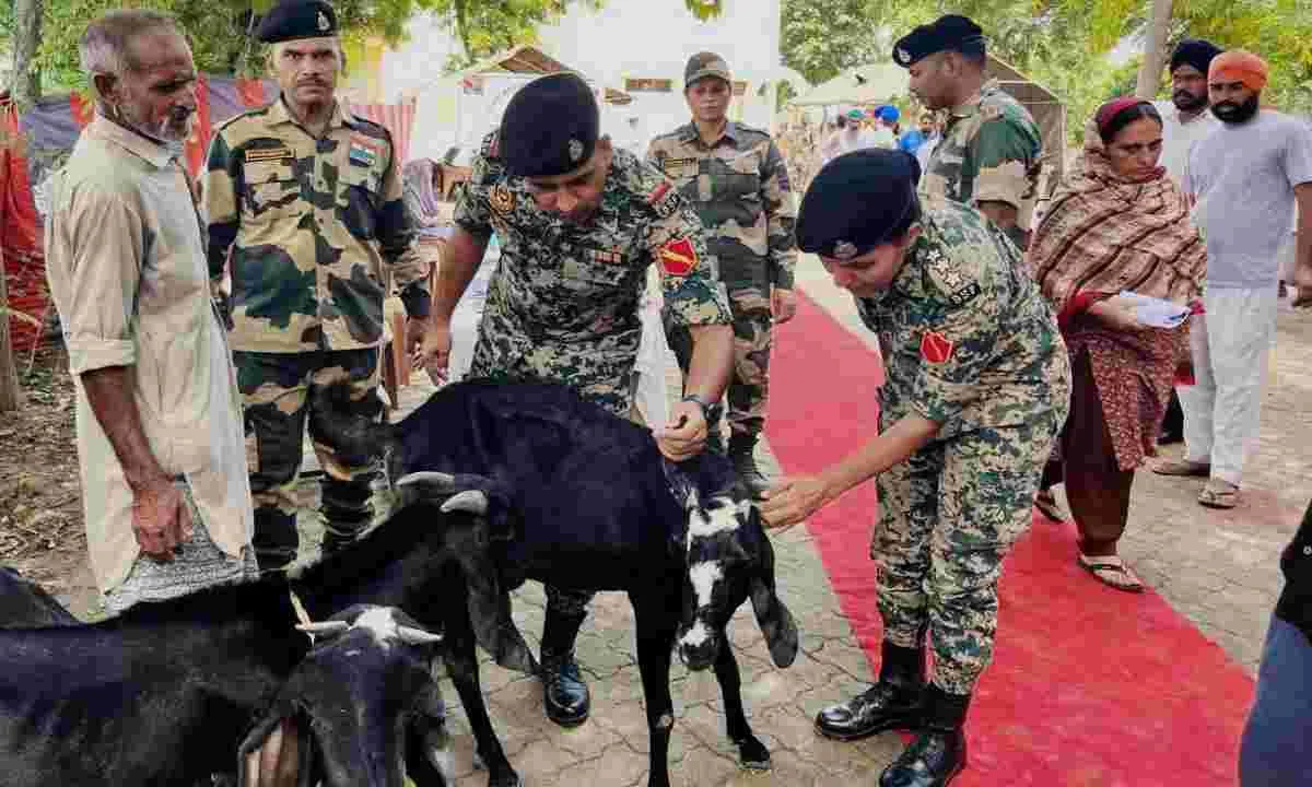 पंजाब के सीमावर्ती जिलों में पशुओं को बचाने के लिए आगे आई बीएसएफ