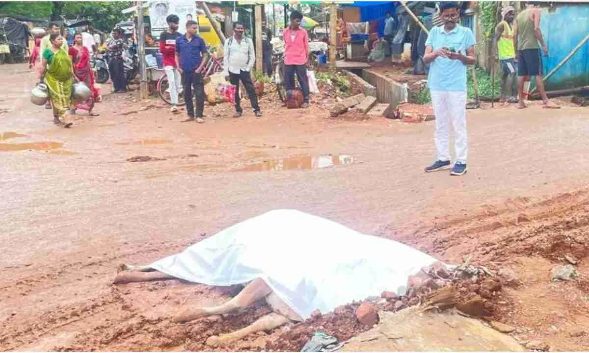 Chaibasa News: करंट लगने से तीन पशुओं की मौत