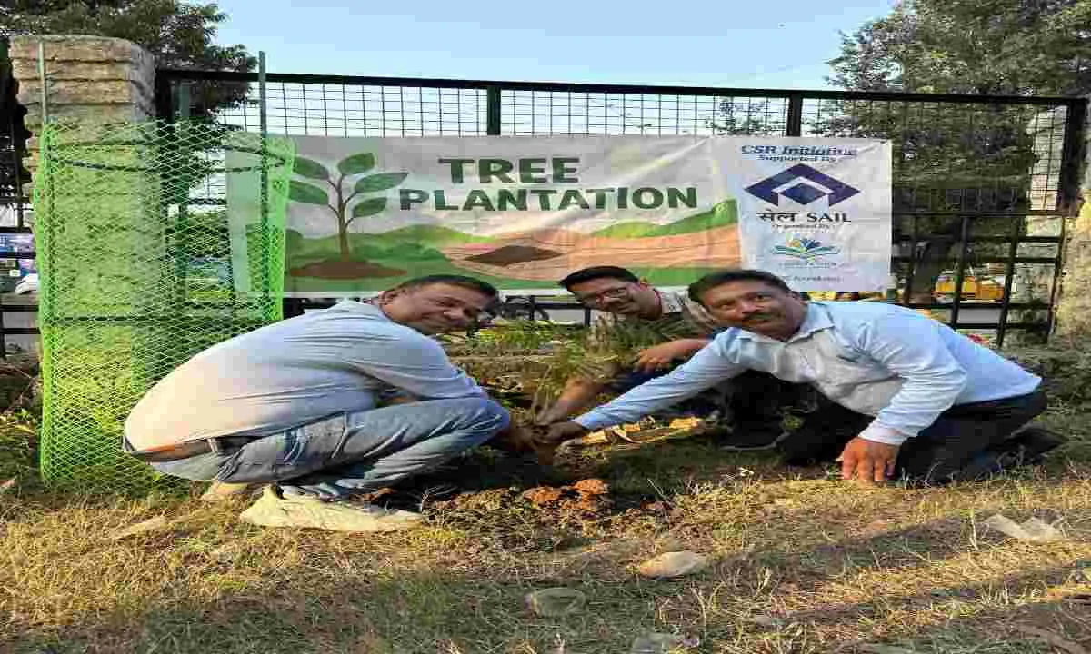 Ranchi News: एस.ई.टी. फाउंडेशन ने मोराबादी मैदान के पास किया पौधरोपण