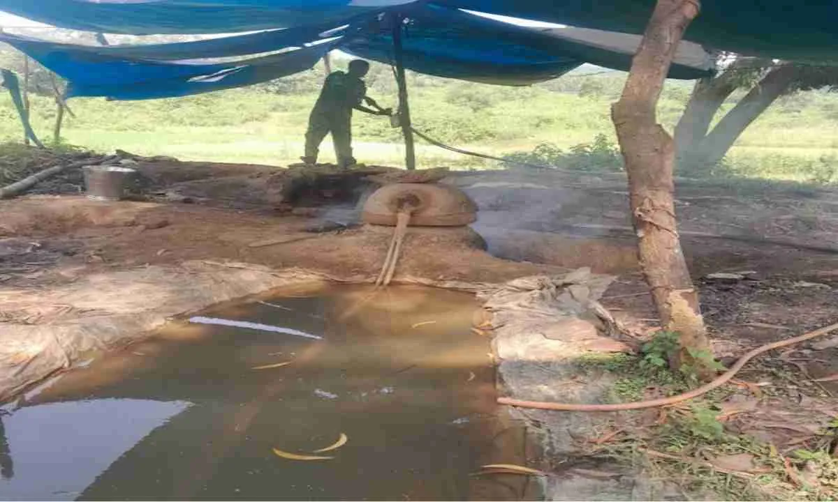 प्रशासन ने अवैध शराब पर की बड़ी कार्रवाई, कई भट्टियां ध्वस्त