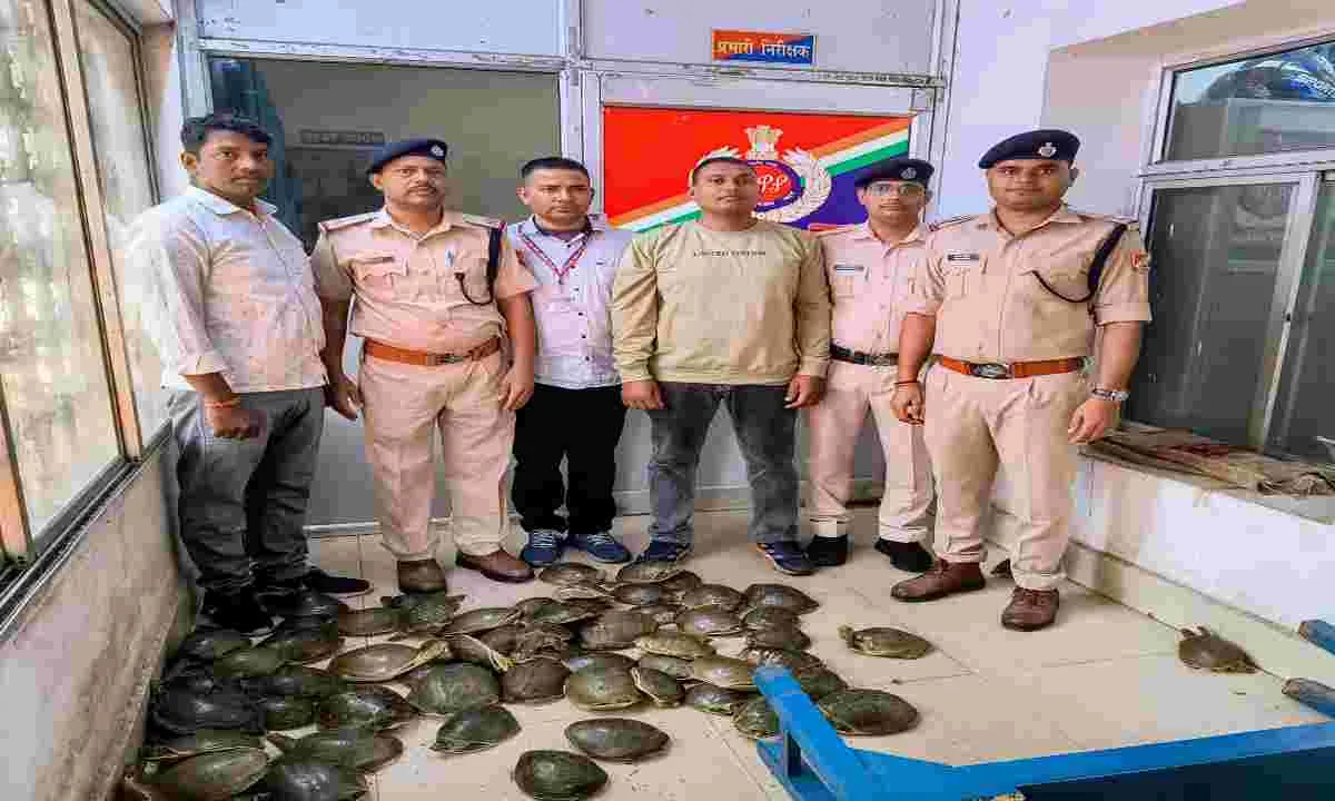 ऑपरेशन WILEP के तहत आरपीएफ ने दून एक्सप्रेस से 78 जीवित कछुए बरामद किए