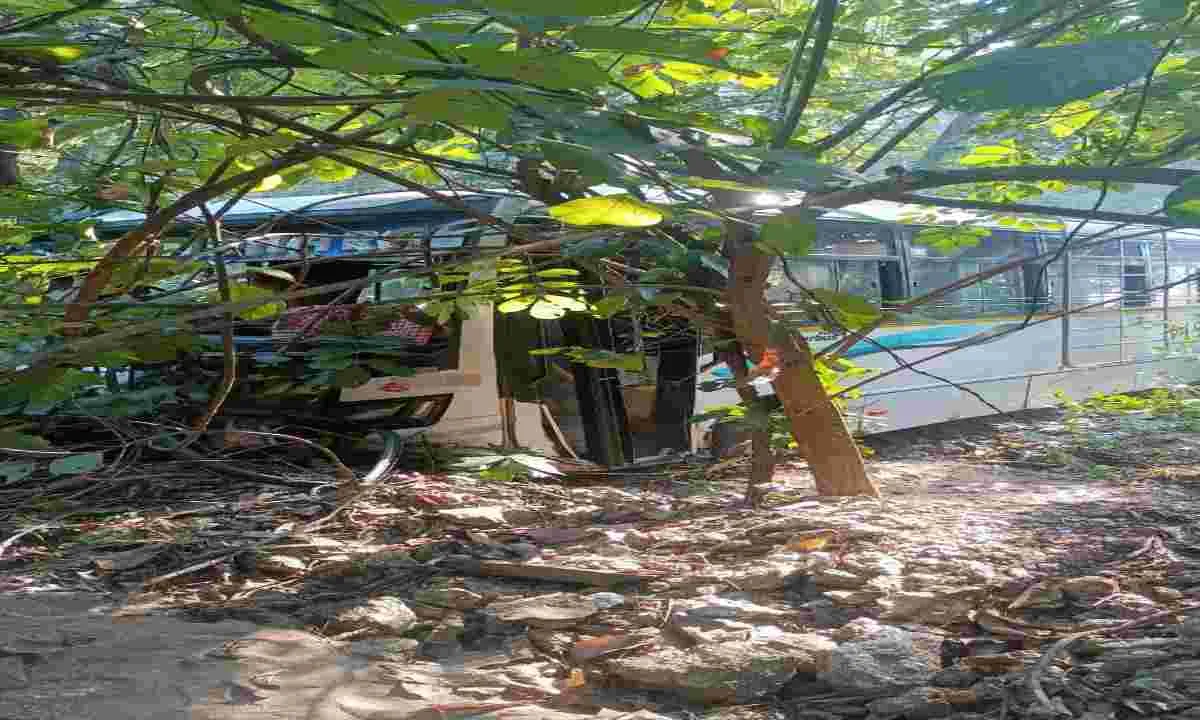 Koderma News: ओवरटेक के दौरान बड़ा हादसा: छात्राओं से भरी बस गिरी खाई में, डेढ़ दर्जन से अधिक छात्राएं घायल