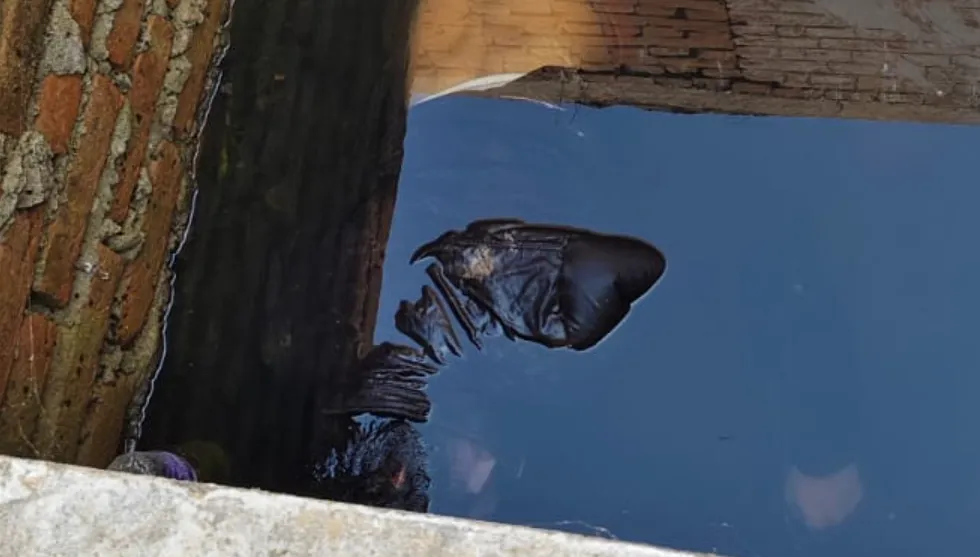 Jharkhand Crime: सेप्टिक टंकी से मिला युवक का शव, पत्थर से कूचकर हत्या की आशंका