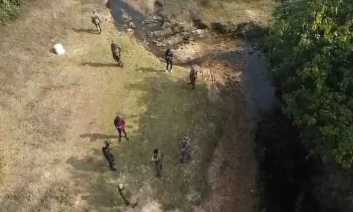 पलामू पुलिस का अफीम के खिलाफ बड़ा एक्शन, मनातू में 7 एकड़ फसल नष्ट