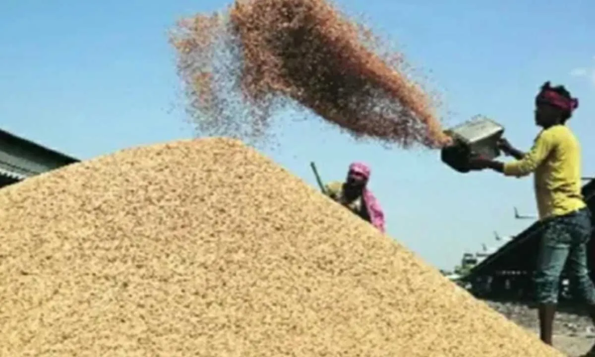 साहिबगंज में शुरू हुई धान की खरीद, 25 से अधिक केंद्र तैयार