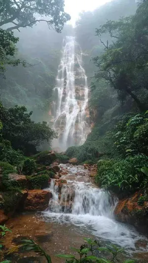 Screenshot 2025-12-13 165011 