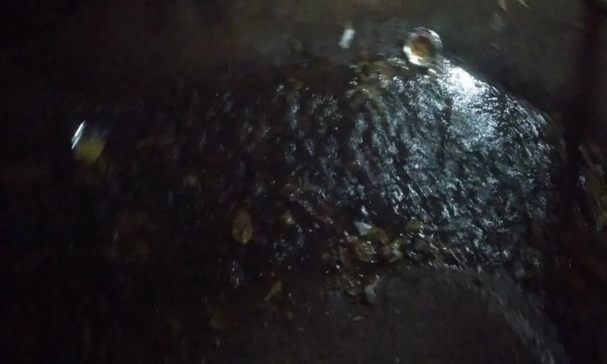 Sahebganj News : पूर्वी और पश्चिमी फाटक इलाके में सफाई व्यवस्था ध्वस्त, बढ़ा बीमारी का खतरा