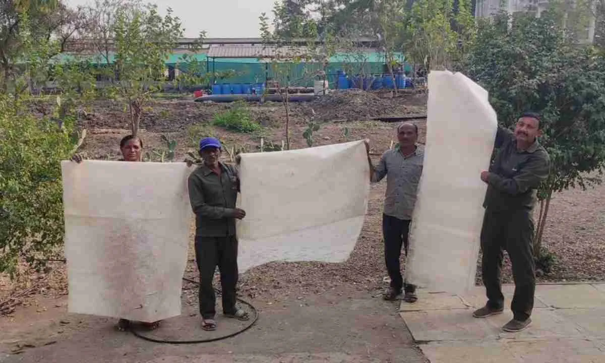 आईआईटी बॉम्बे की ‘जीवोदया’ परियोजना ने रचा नैतिक रेशम उत्पादन में नया इतिहास