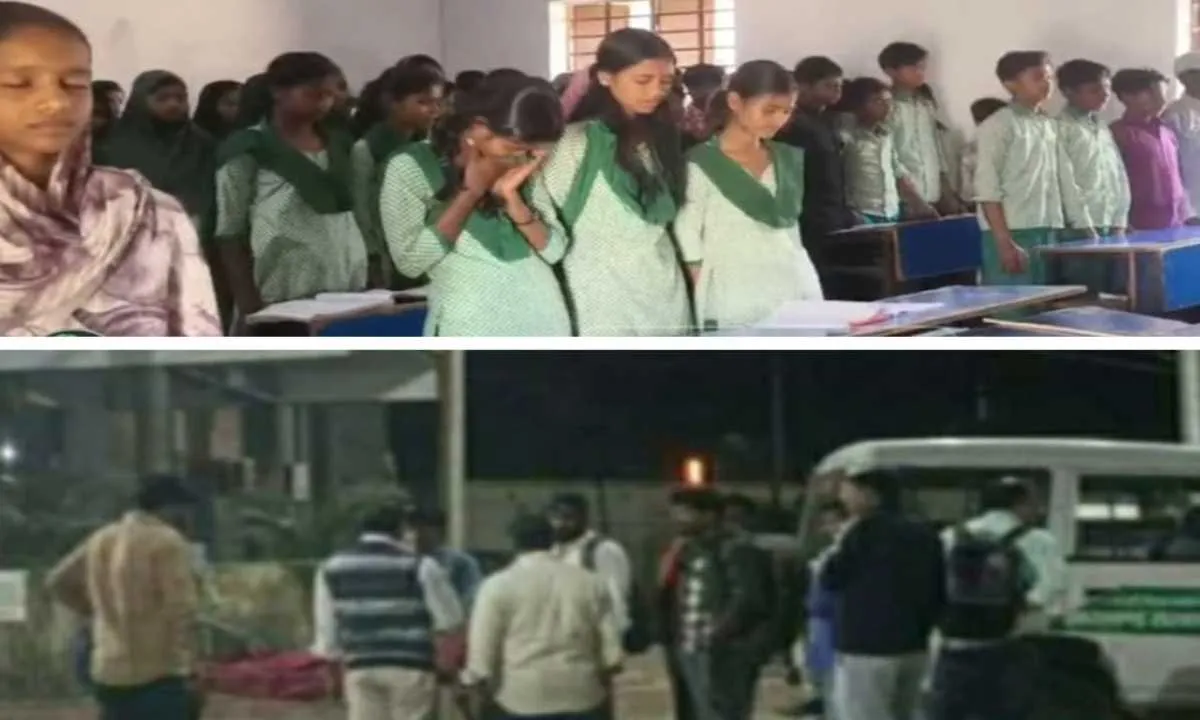 Sahebganj News : मधुमक्खी के डंक से डॉक्टर की मौत, स्वास्थ्य विभाग में फैला मातम