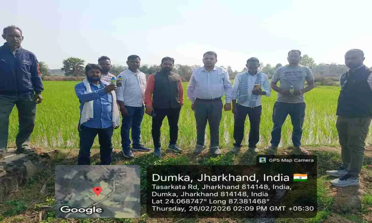 Dumka News : जिला परिषद सदस्य श्रीमान सिंह के प्रयास से 50 किसानों को मिला निशुल्क कीटनाशक