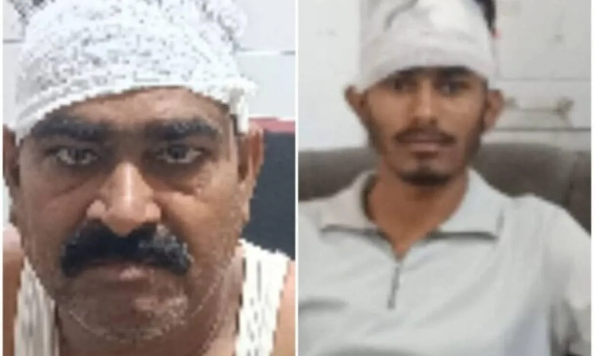 Palamu News : जमीनी विवाद में पिता-पुत्र पर जानलेवा हमला, दोनों अस्पताल में भर्ती