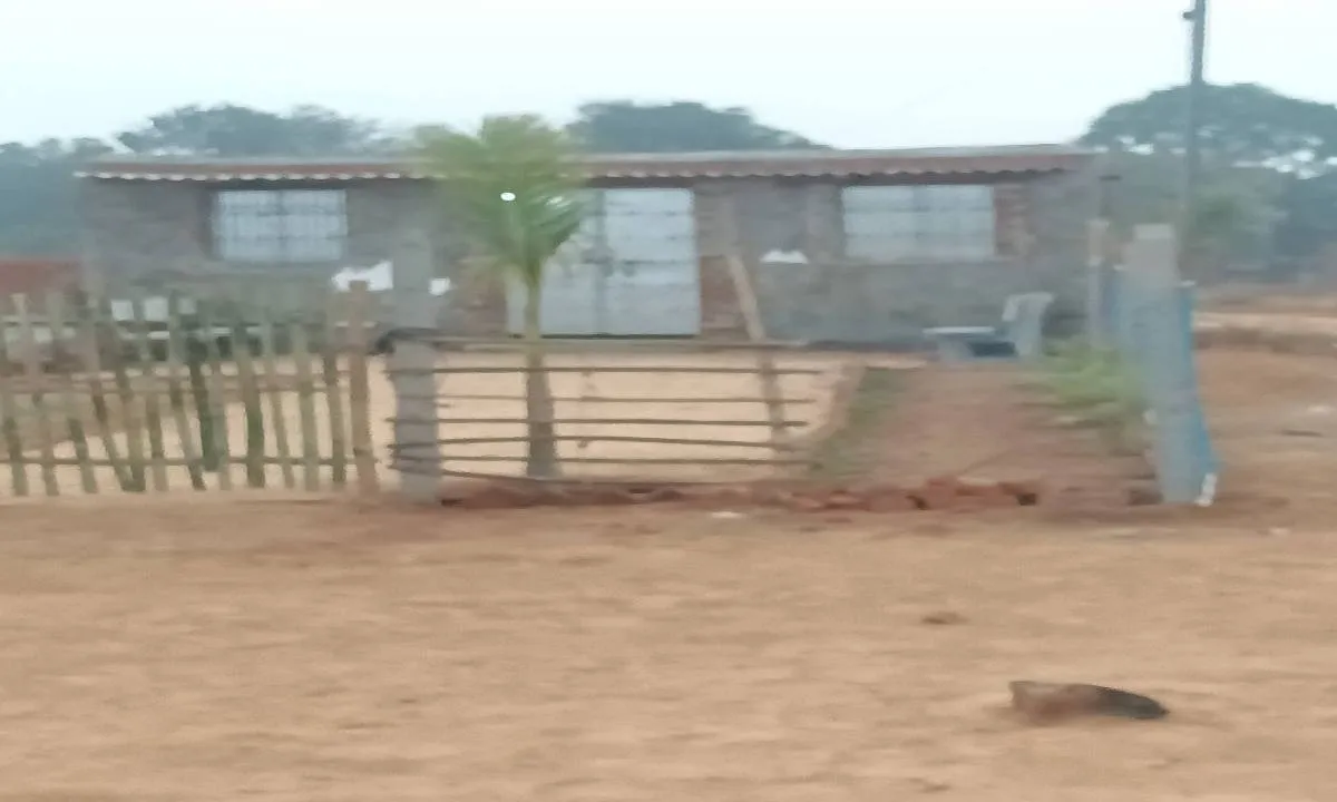 Giridih News: खतियानी जमीन पर अवैध कब्जे का मामला हाईकोर्ट पहुंचा