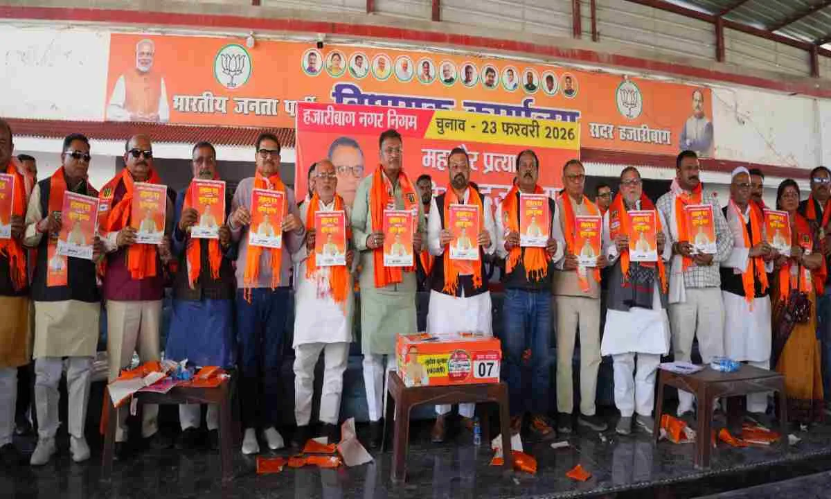 विधायक ने महापौर चुनाव में समर्थन जुटाने को किया डोर-टू-डोर संपर्क