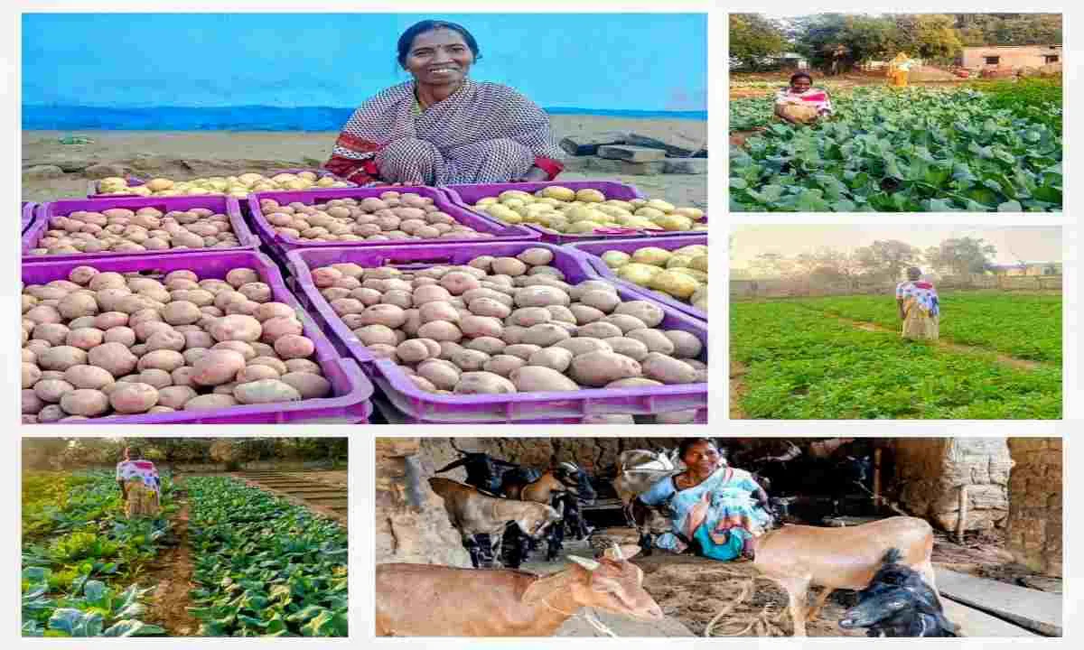 30 हजार के ऋण से 1.21 लाख की कमाई: मेरी किंडो की सफलता कहानी