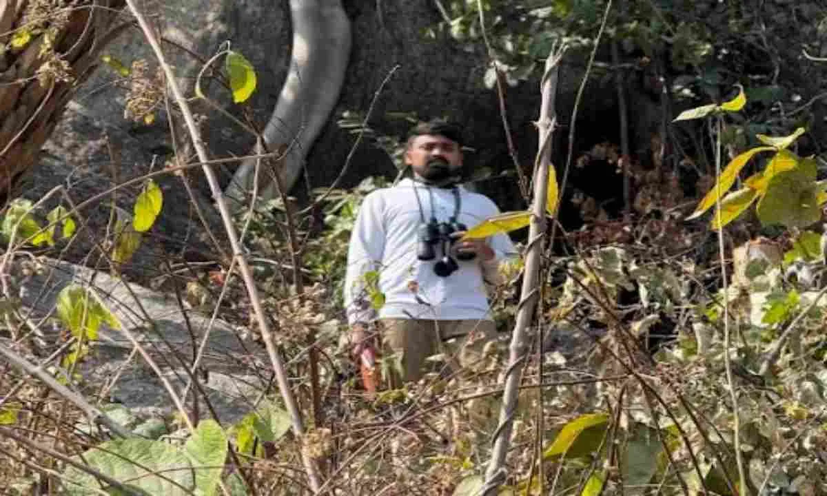 ईस्टर्न इंडिया के ग्रेनाइट अपलैंड्स में ‘थर्मल रिफ्यूजिया’ की खोज