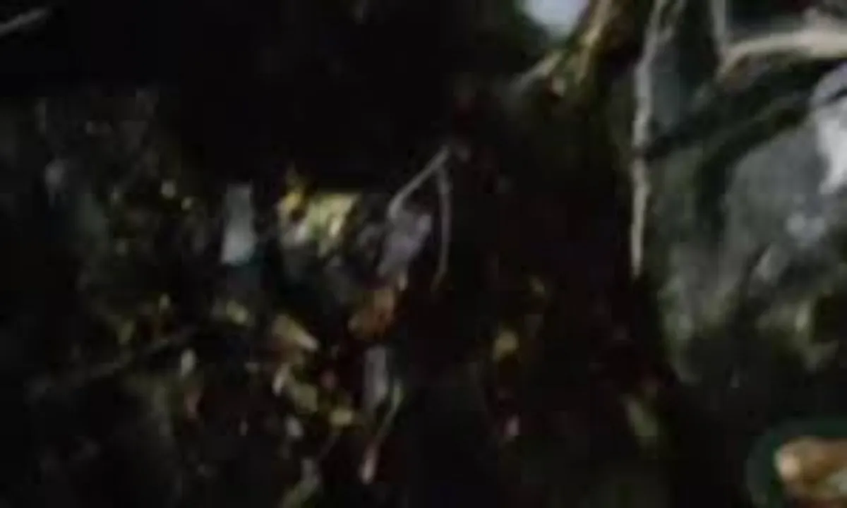 झारखंड में एयर एंबुलेंस हादसा: रांची से दिल्ली जा रही फ्लाइट चतरा के सिमरिया में दुर्घटनाग्रस्त, 7 लोग सवार