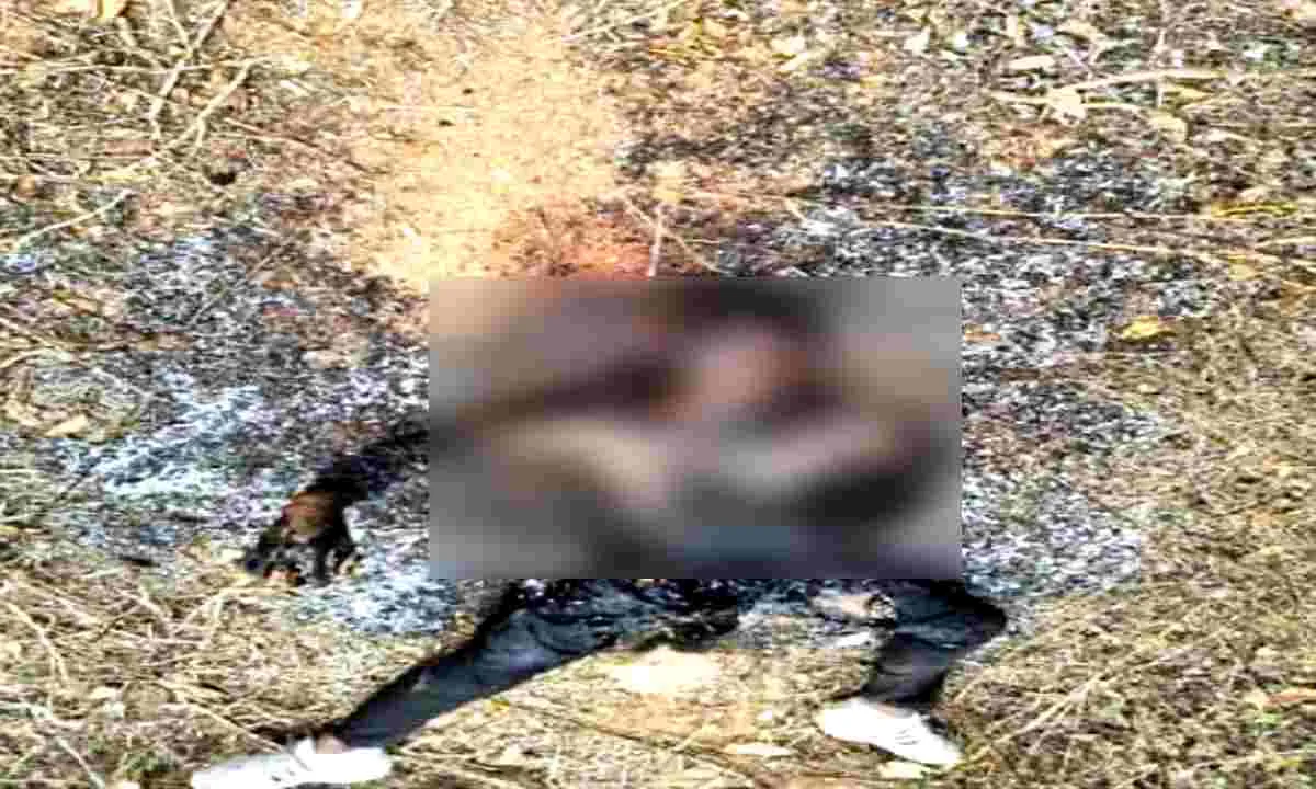 Palamu News: झाड़ियों से बरामद हुआ युवक का अधजला शव, एसपी ने घटना की दी विस्तृत जानकारी