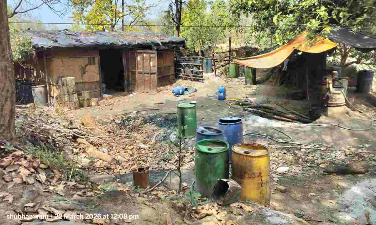 Giridih News : जंगलों में चल रही अवैध भट्टियां, पेड़ों की कटाई से बढ़ रहा खतरा