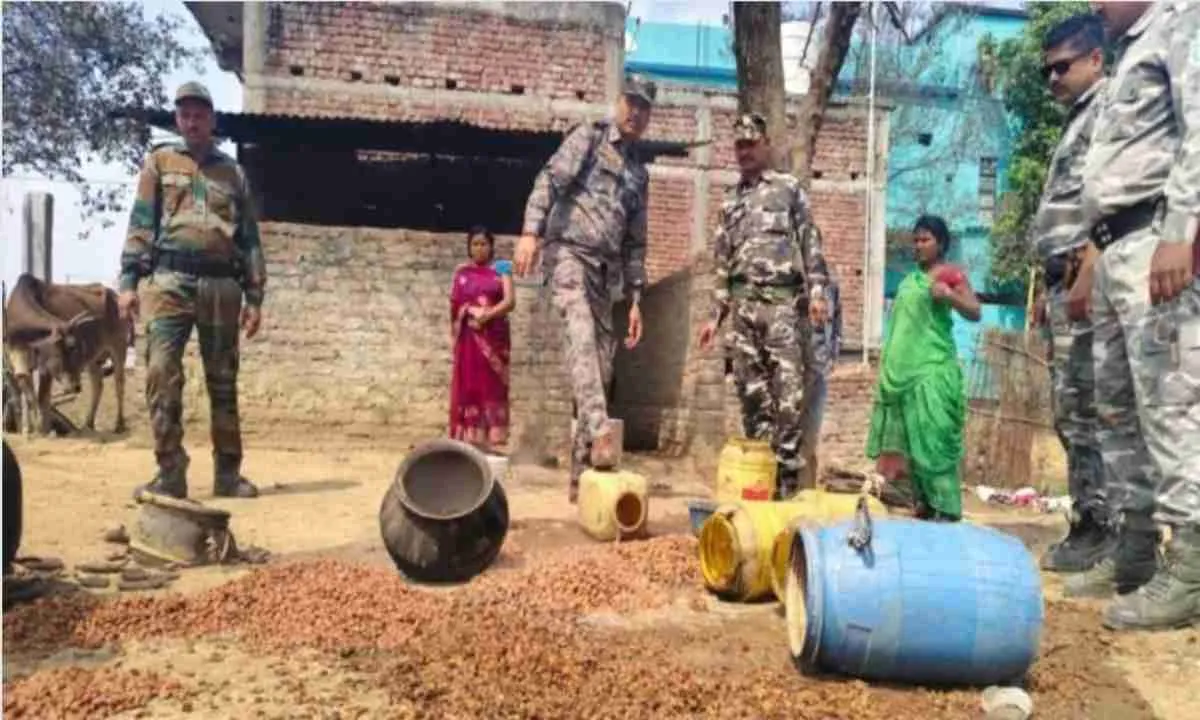 Palamu News: अवैध शराब के ठिकानों पर छापेमारी, भारी मात्रा में जावा महुआ नष्ट
