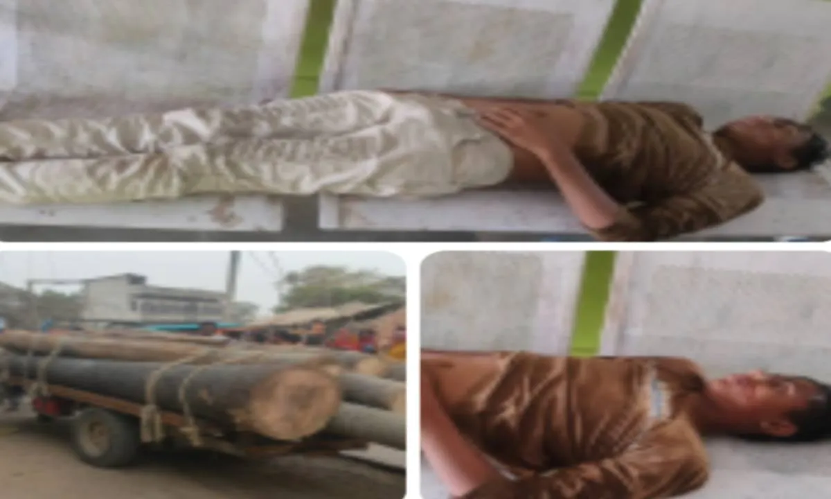 Sahebganj News: कोटालपोखर मार्ग पर भीषण सड़क हादसा