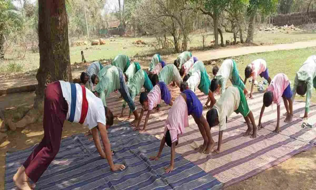 Pakur News : आयुष विभाग का योग अभियान, 39 केंद्रों पर प्रशिक्षण