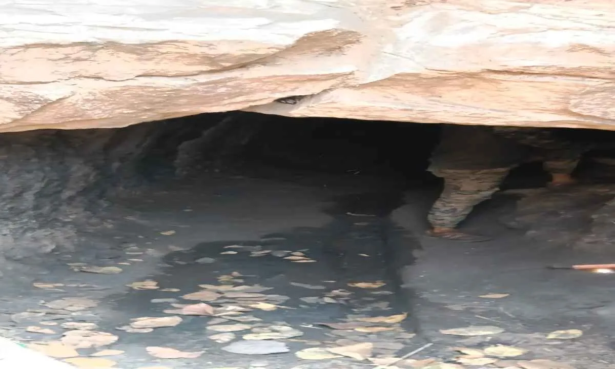 Bokaro News: अवैध कोयला खनन पर छापेमारी, संयुक्त टीम ने कार्रवाई कर बंद कराया स्थल